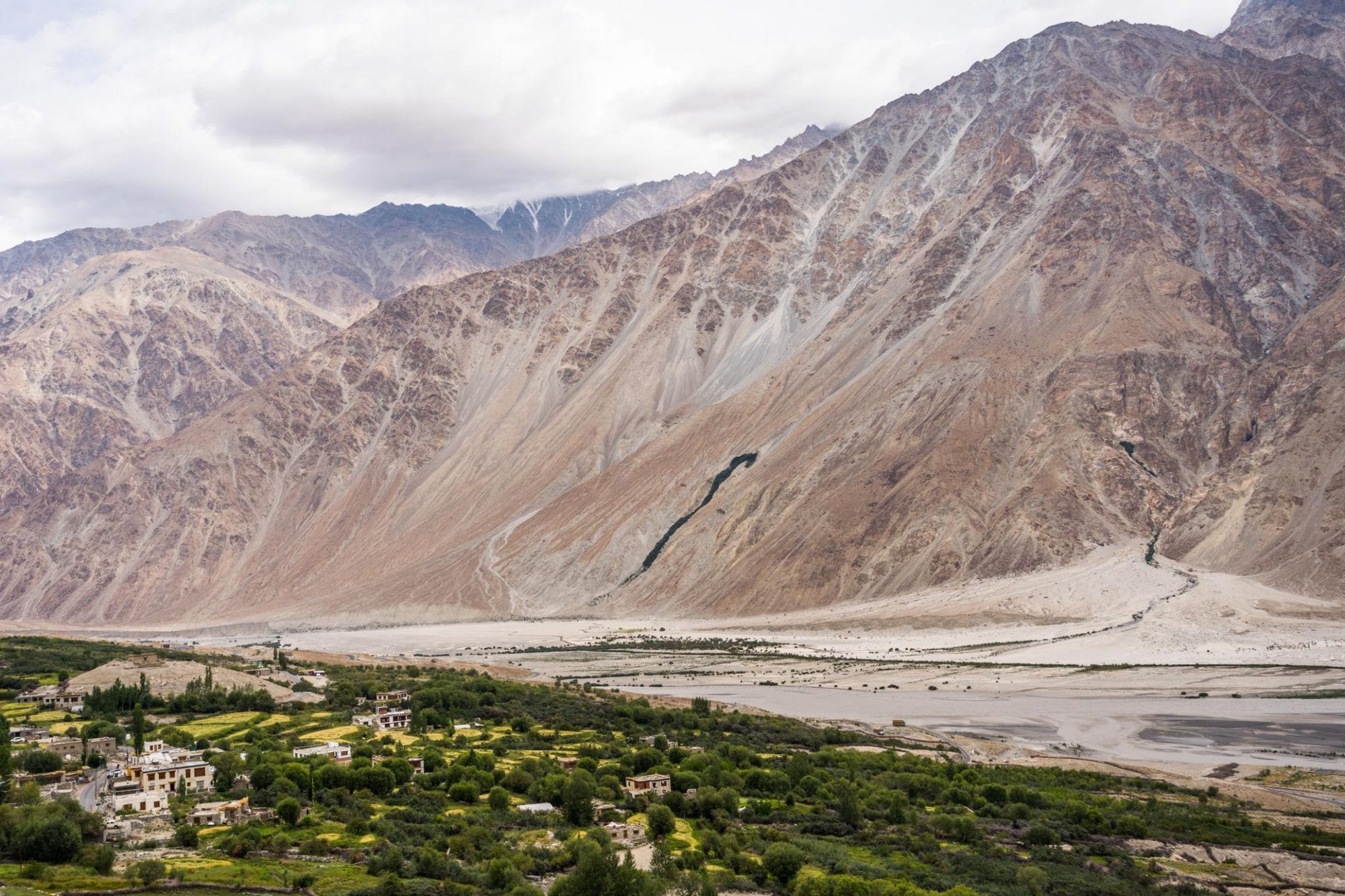 LEH03N + 02NUBRA + PANGONG 01N