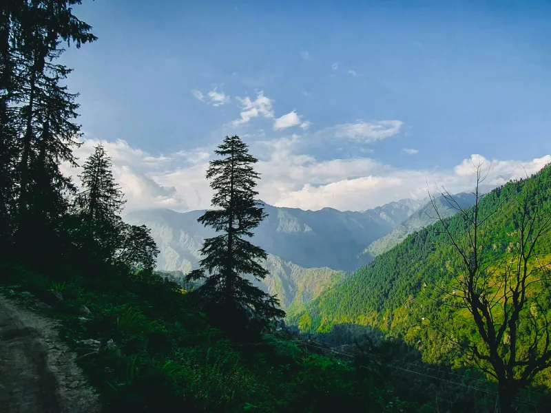 Kashmir