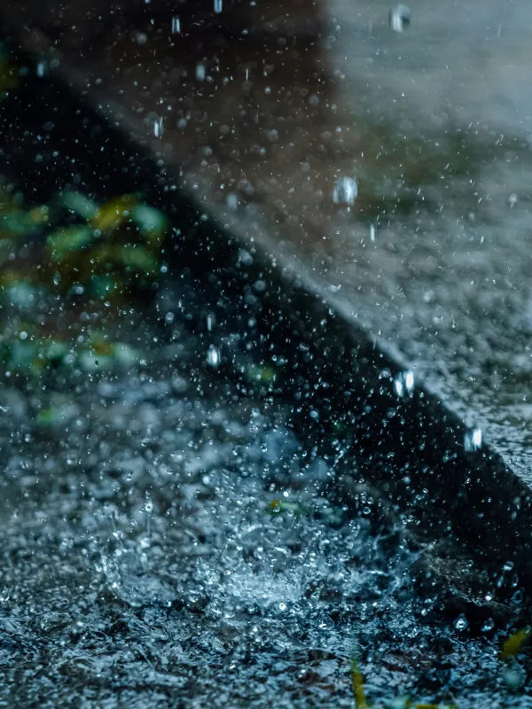 Monsoon