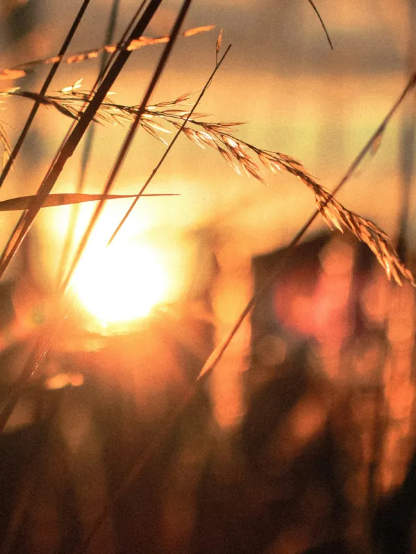 Summer