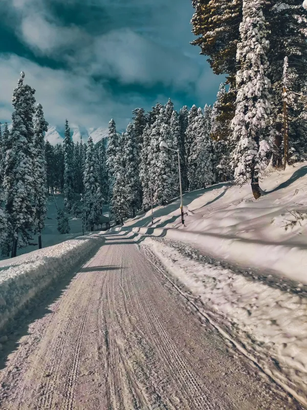 Winter